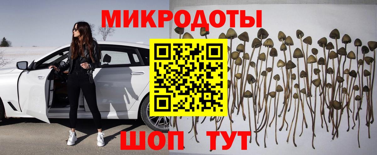 Псилоцибиновые грибы Magic Shrooms Пугачёв